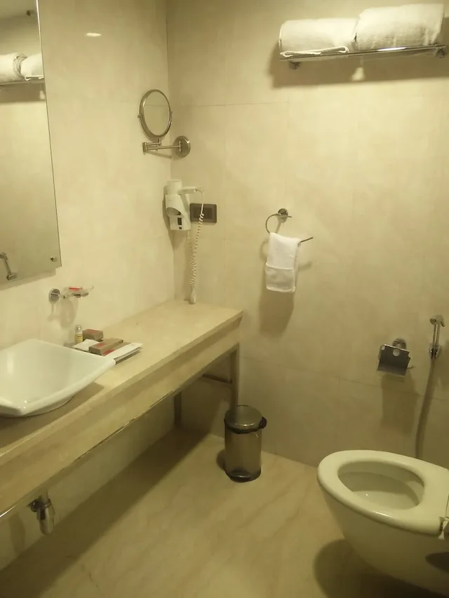 غرفة بريميير بسريرين منفصلين، Daspalla Hotel Hyderabad 9/9