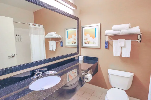 جناح بسرير كينج، Comfort Inn & Suites Houston North - Spring 3/3