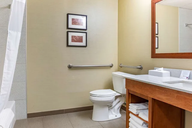 جناح بسرير كينج، Comfort Suites Dover University Area 3/3