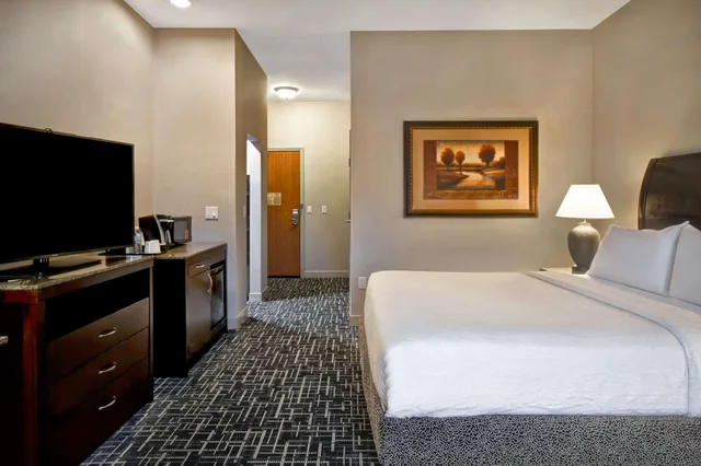 غرفة ديلوكس بسرير مزدوج، Hilton Garden Inn Twin Falls 3/5