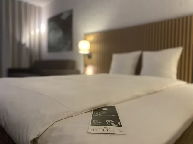 غرفة سوبيريور بسرير كينج مع أريكة، Hotel Dalgas, BW Signature Collection 5/10