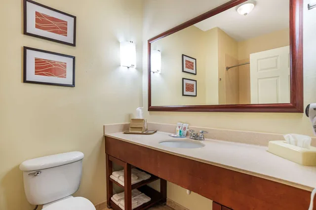 Suite, King Bed, Comfort Inn & Suites Crestview South 4/5
