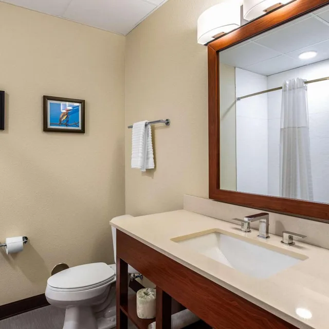 جناح بسرير كينج مع أريكة، Comfort Inn and Suites Ames Near ISU Campus 4/5