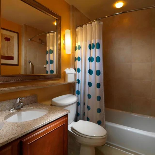 جناح استوديو بسرير كينج مع أريكة بحوض استحمام لذوي الإعاقة، TownePlace Suites By Marriott Houston North/Shenandoah 5/6