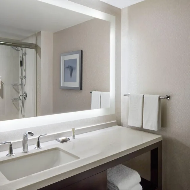 1 Bedroom, Deluxe, Suite, King Bed, Sofa, Marriott Eaton Centre Toronto 4/4