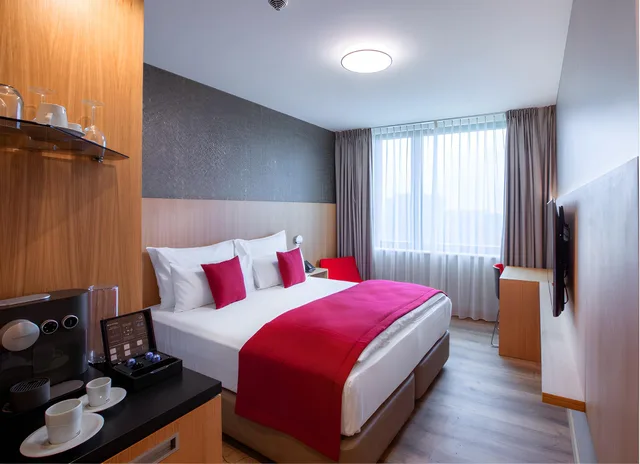 غرفة قياسية، Ocak Hotel 1/1
