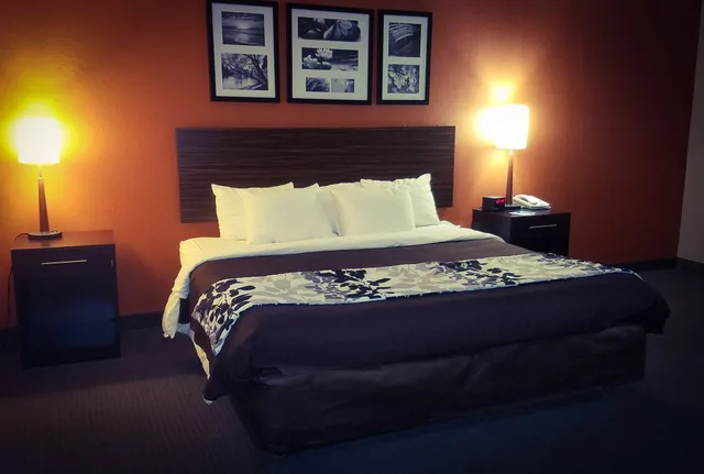 جناح بسرير كينج مع أريكة لذوي الإعاقة، Clarion Pointe Lakeland I-4 3/7