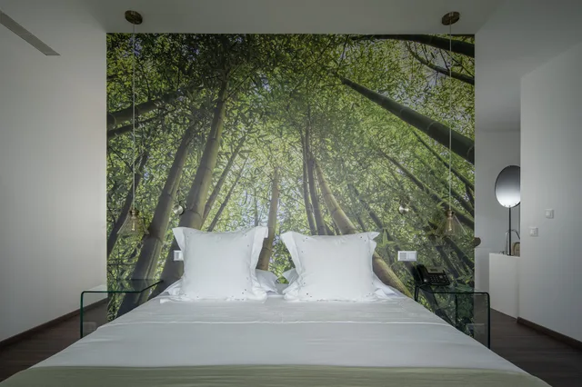 جناح جونيور بسرير كينج مع أريكة، Senhora Da Rosa Tradition And Nature Hotel 4/10