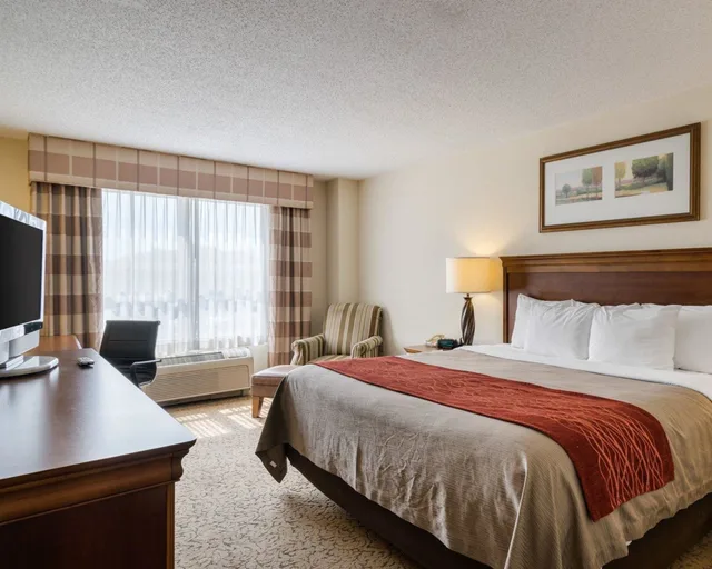 غرفة قياسية بسرير كينج، Comfort Inn & Suites Dover near Speedway 1/4