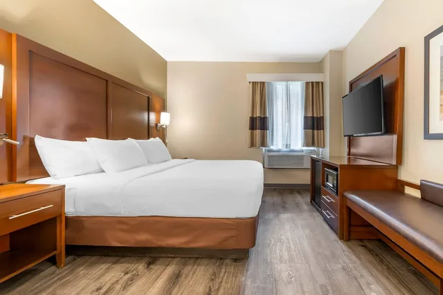 Suite, King Bed, Sofa, Comfort Suites At The University 2/10