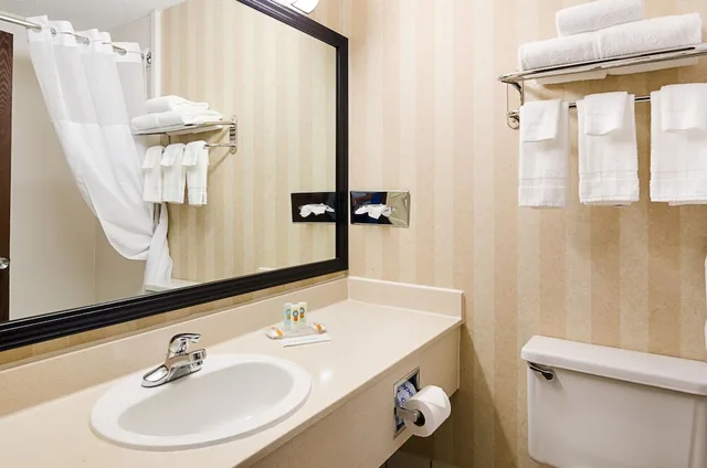 غرفة بسرير كينج لذوي الإعاقة، Quality Inn Princeton 4/4
