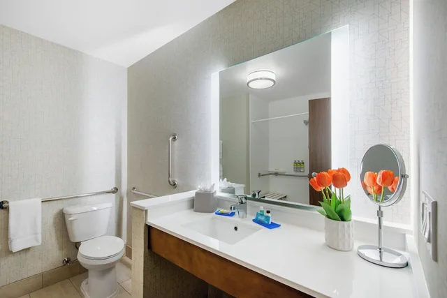 غرفة قياسية بسرير فردي، Holiday Inn Express & Suites Ruskin - Sun City 7/8