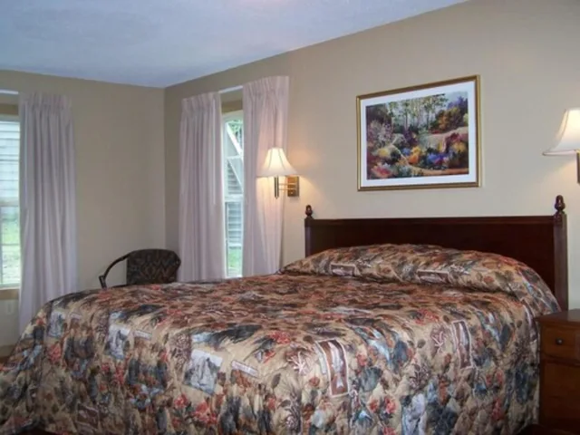 Lodge, King Bed, Main Building، Fontana Village Resort 3/6