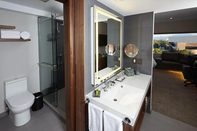Luxury, Forest View، Presidente Intercontinental Mexico City 2/4
