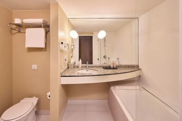 غرفة جونيور بسرير كينج، Van Der Valk Hotel Paris Cdg Airport 4/4