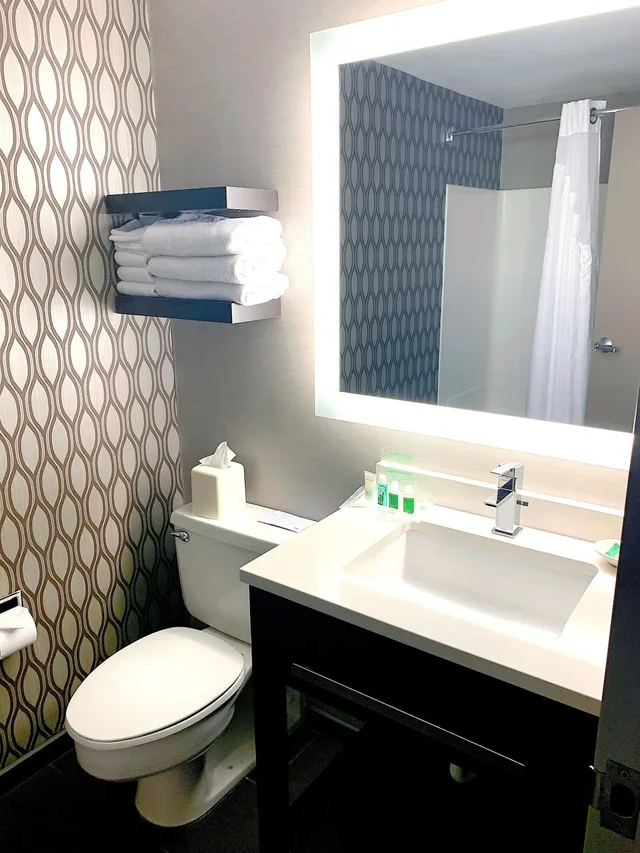 غرفة قياسية بسرير كينج، Holiday Inn St. Paul Downtown 3/4