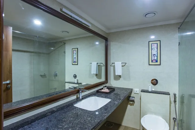 غرفة كلاسيكية بسرير كينج بإطلالة على المدينة، The Grand Regency 2/2
