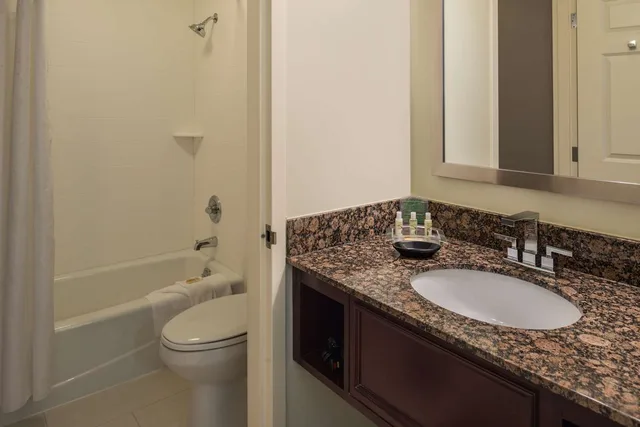 Preferred, King Bed, Sofa، Sonesta Chicago O'Hare Airport 3/4