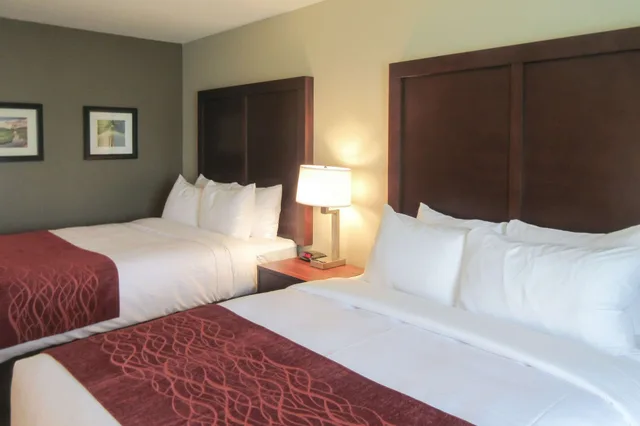 Standard, 2 Queen Beds, Comfort Inn & Suites Gap Amish Country 5/10