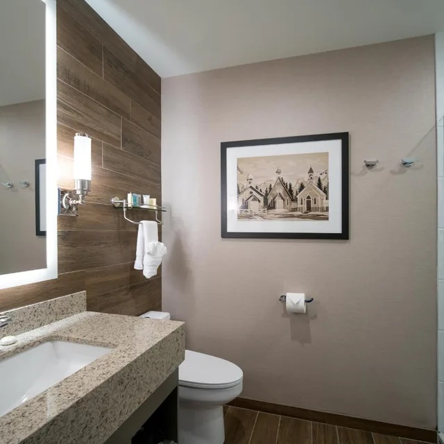 غرفة قياسية بسرير كينج، The Malcolm Hotel Canmore 3/4
