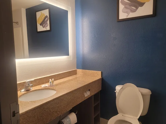 غرفة بسرير كينج لذوي الإعاقة، Comfort Inn & Suites Dothan Northside Plaza 9/10