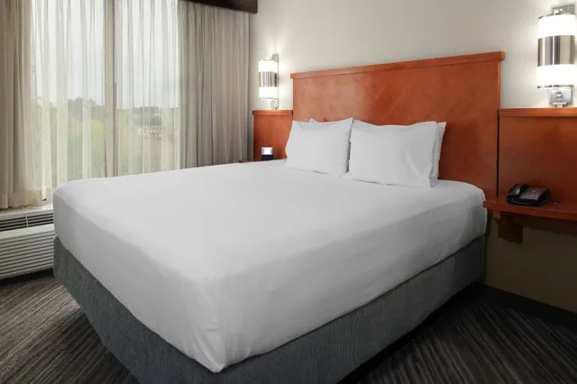 Specialty, King Bed, Sofa، Hyatt Place Nashville Opryland 1/4