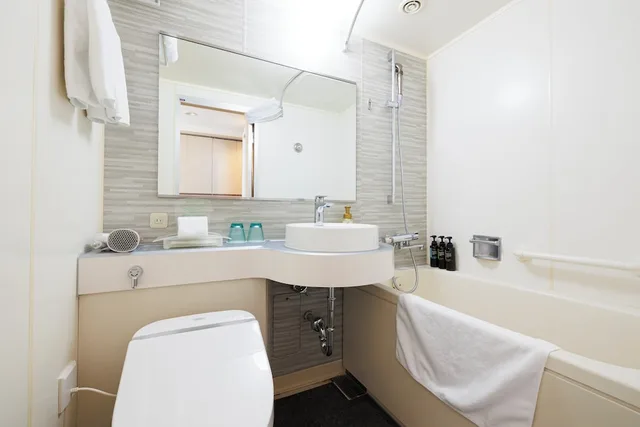 غرفة قياسية بسرير فردي، Ana Holiday Inn Sapporo Susukino 8/8