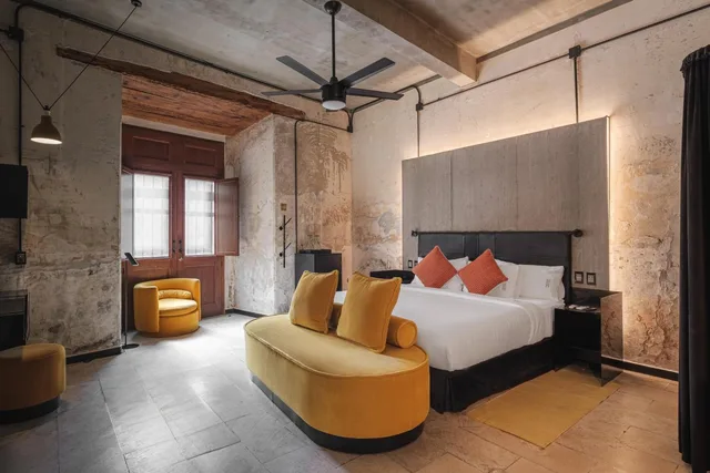 Superior, Suite, Pug Seal Oaxaca 3/10
