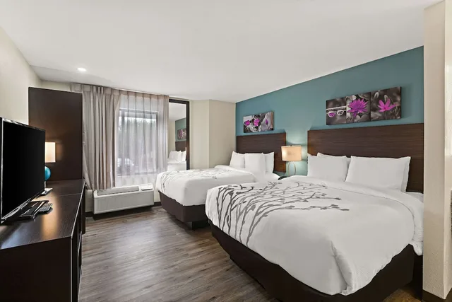 Standard, 2 Queen Beds, Sleep Inn Lithonia Ga 1/3
