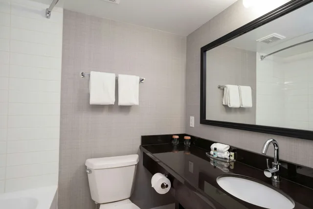 غرفة قياسية بسرير كينج، Sandman Hotel Revelstoke 4/4