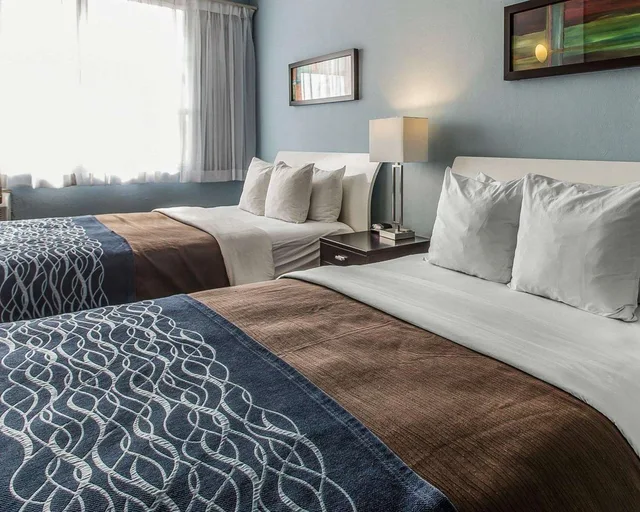 غرفة بسريرين كوين، Comfort Inn & Suites Levittown PR 1/3
