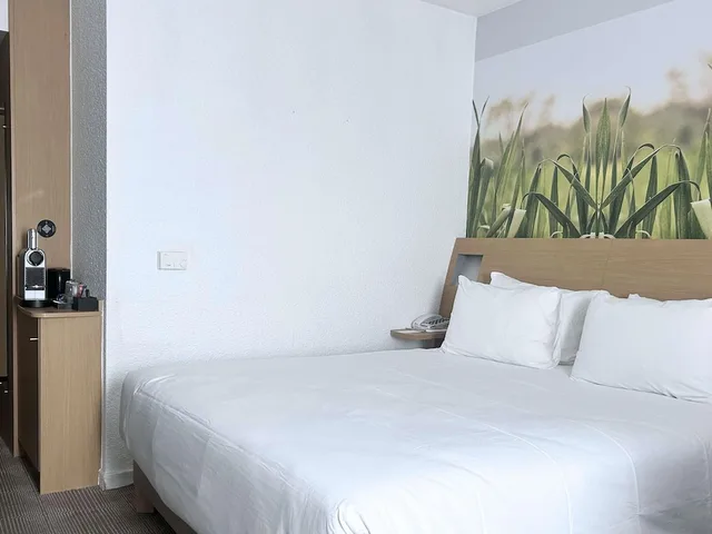 غرفة سوبيريور بسرير مزدوج، Novotel Paris Est 7/10