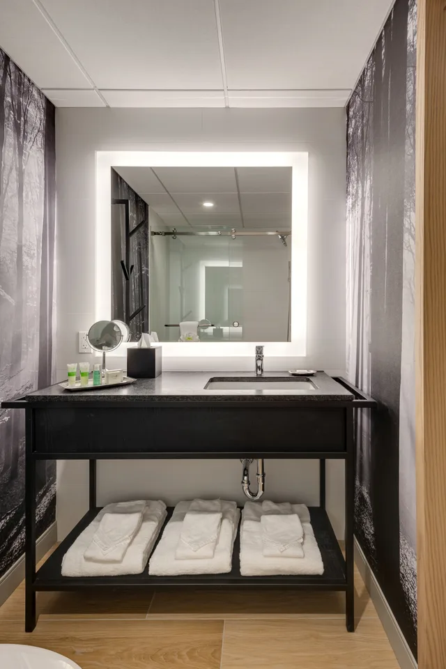Loft, Suite، Peaks Hotel & Suites 6/7