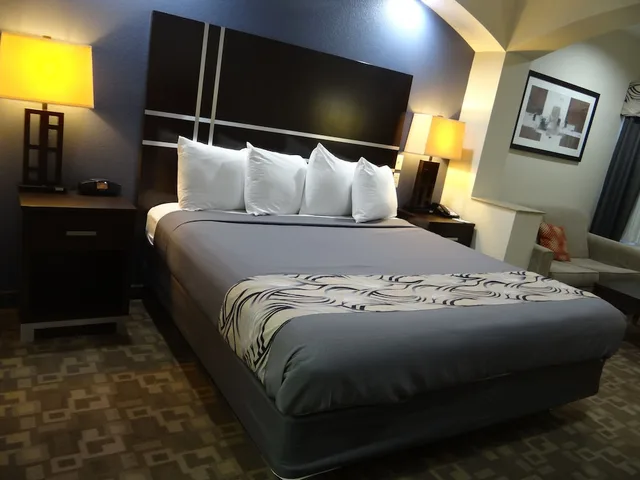 غرفة أساسية مفردة بسرير كينج مع أريكة، Regency Inn & Suites Baytown 2/8