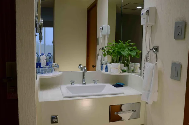 غرفة تنفيذية بسرير مزدوج، Guadalajara Plaza Expo Business Class 5/5