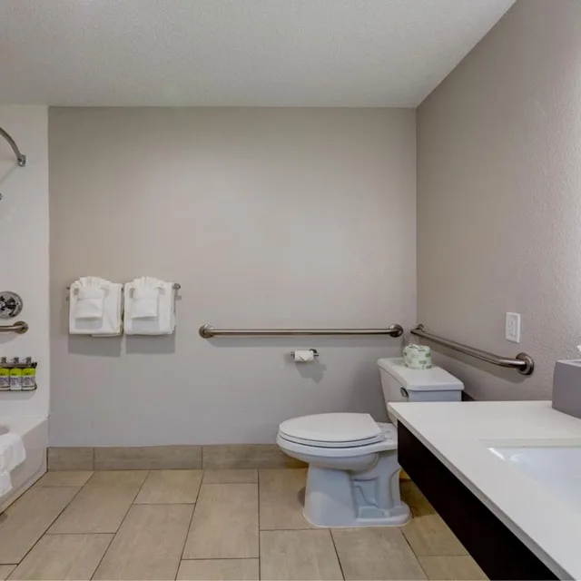 غرفة قياسية بسريرين مزدوجين بحوض استحمام لذوي الإعاقة، Holiday Inn Express Hotel Suites Ashtabula Geneva 3/3