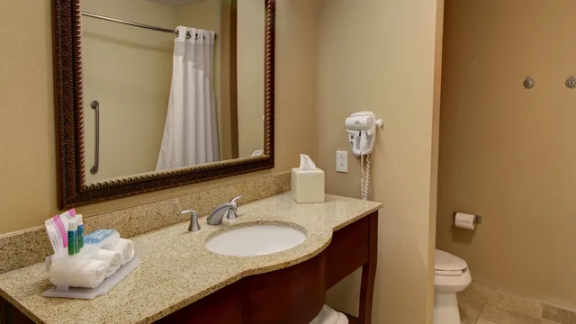 جناح بسرير كينج بحوض استحمام لذوي الإعاقة، Holiday Inn Express Hotel Suites Sioux City Southern Hills 3/4