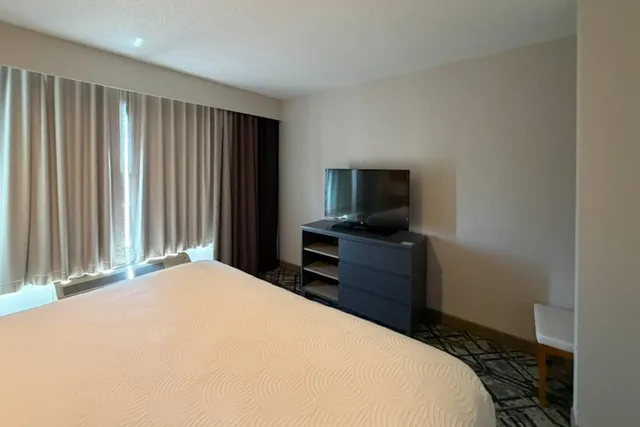 جناح ديلوكس بسرير كينج بغرفة نوم واحدة مع أريكة، Country Inn & Suites by Radisson, Novi, MI 5/10