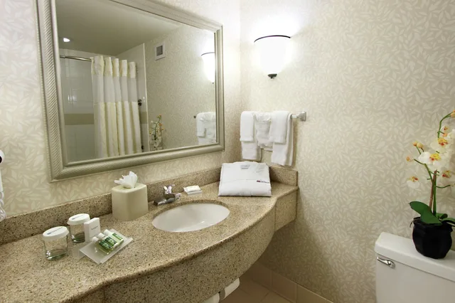 غرفة قياسية بسرير كينج، Hilton Garden Inn Ft. Lauderdale Airport-Cruise Port 6/6