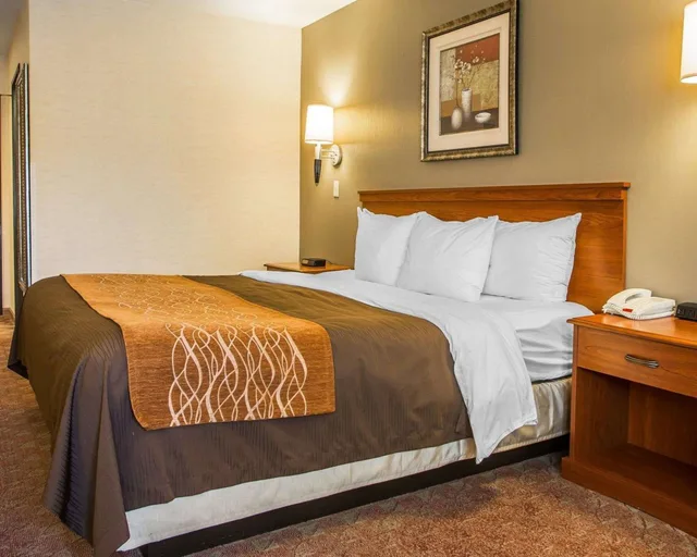 غرفة قياسية بسرير كينج، Comfort Inn Van Wert, OH 3/9