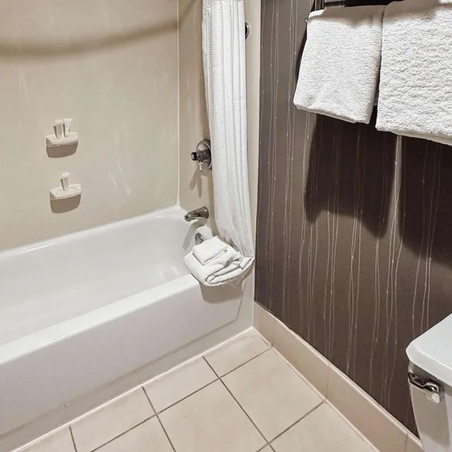 غرفة سوبيريور بسرير كينج بشرفة، Country Inn & Suites by Radisson, Columbus-Edinburgh 8/9