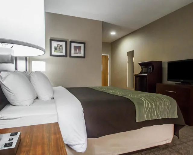 Room, King Bed, Accessible, Comfort Inn Amite City 2/6