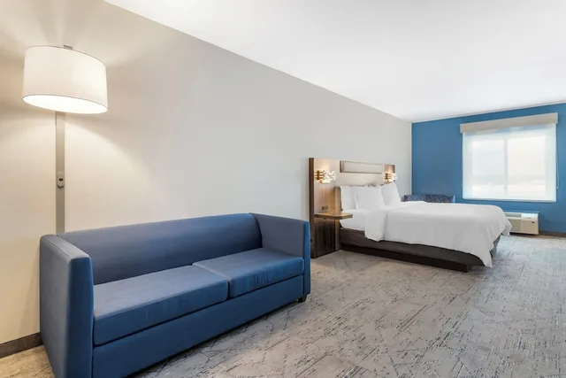 غرفة بريميوم بسرير كينج مع أريكة بمنطقة جلوس، Holiday Inn Express Hotel Suites Alice 1/1