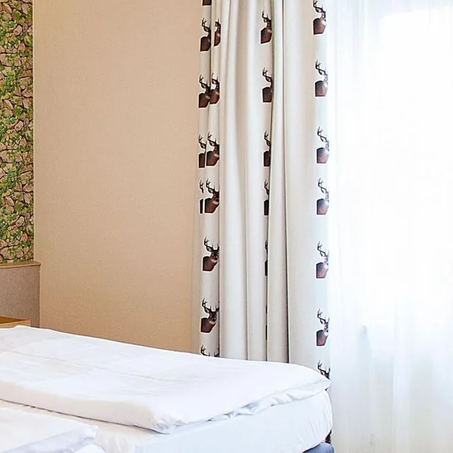 غرفة كومفورت، Hirsch Hotel 6/8