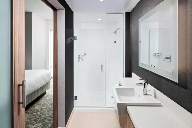 جناح بسرير كينج لذوي الإعاقة، Springhill Suites By Marriott Downtown Greenville 1/3