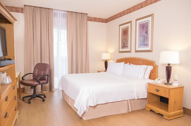 غرفة قياسية بسرير كينج، Holiday Inn Express Silao Aeropuerto Bajio 2/6