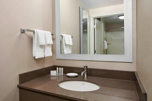 جناح بسريرين مزدوجين مع أريكة، Springhill Suites By Marriott Chicago Schaumburg 2/3
