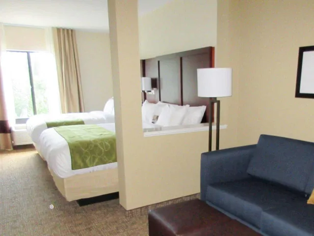 جناح كبير بسريرين كوين، Comfort Suites Piedmont - Greenville South 2/5