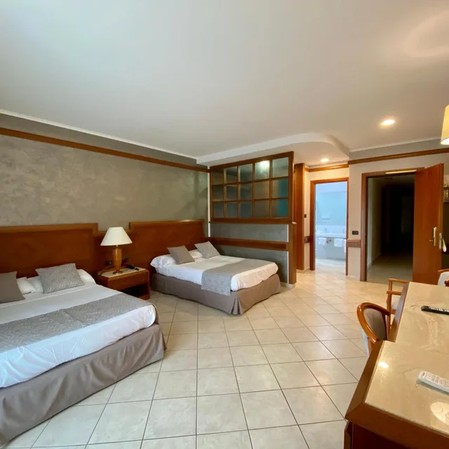 غرفة سوبيريور بسرير مزدوج، Hotel Le Palme 2/10