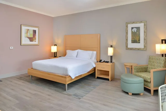 غرفة بسرير كينج بحوض استحمام لذوي الإعاقة، Hilton Garden Inn Denton 2/3